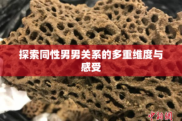 探索同性男男关系的多重维度与感受