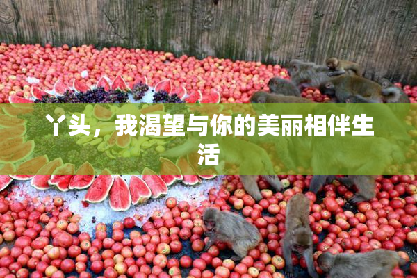 丫头，我渴望与你的美丽相伴生活