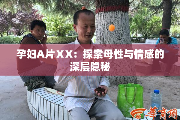 孕妇A片ⅩX：探索母性与情感的深层隐秘