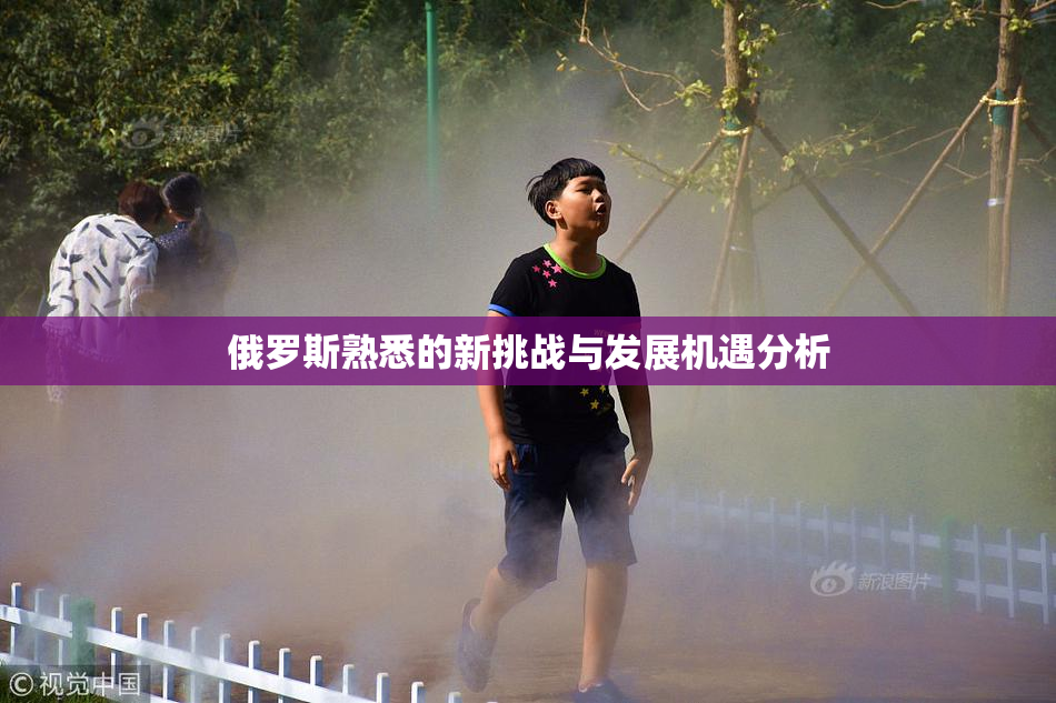 俄罗斯熟悉的新挑战与发展机遇分析