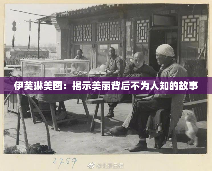 伊芙琳美图：揭示美丽背后不为人知的故事