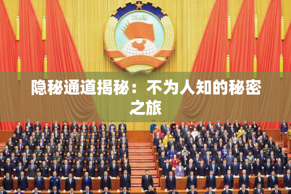 隐秘通道揭秘：不为人知的秘密之旅