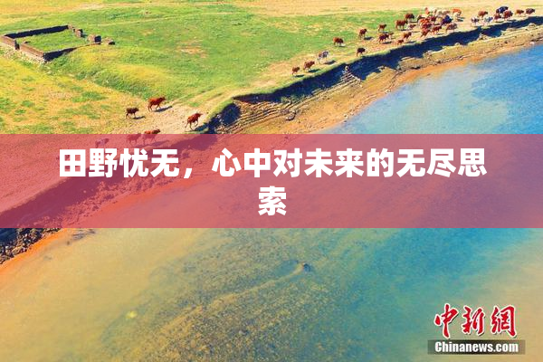 田野忧无，心中对未来的无尽思索