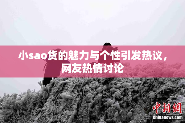 小sao货的魅力与个性引发热议，网友热情讨论