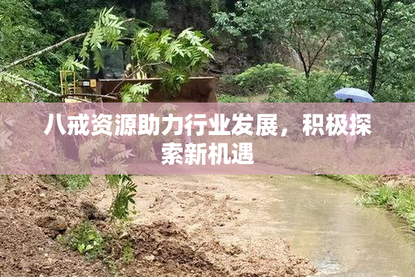 八戒资源助力行业发展，积极探索新机遇