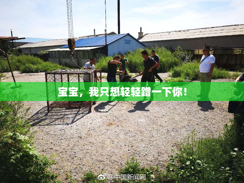 宝宝，我只想轻轻蹭一下你！
