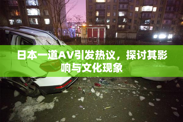 日本一道AV引发热议，探讨其影响与文化现象