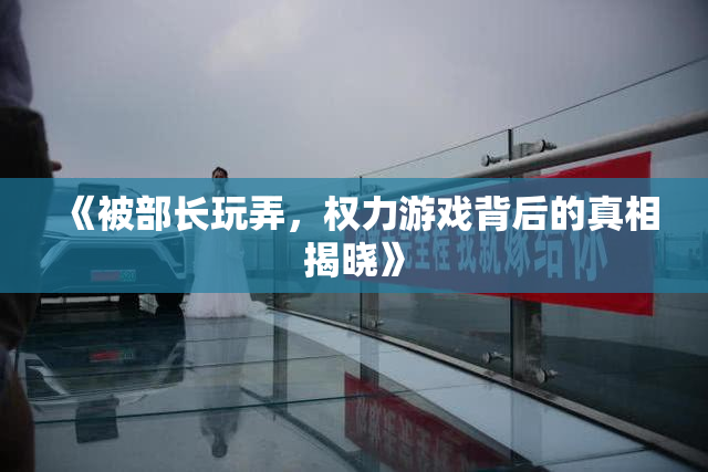 《被部长玩弄，权力游戏背后的真相揭晓》