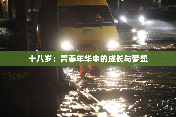 十八岁：青春年华中的成长与梦想