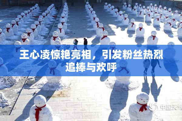 王心凌惊艳亮相，引发粉丝热烈追捧与欢呼
