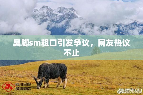 臭脚sm粗口引发争议，网友热议不止