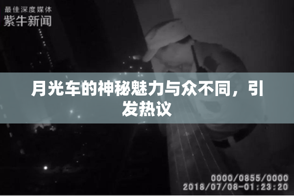 月光车的神秘魅力与众不同，引发热议