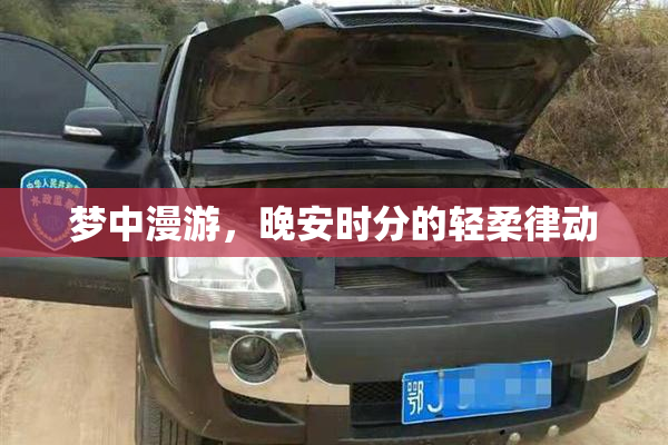 梦中漫游，晚安时分的轻柔律动