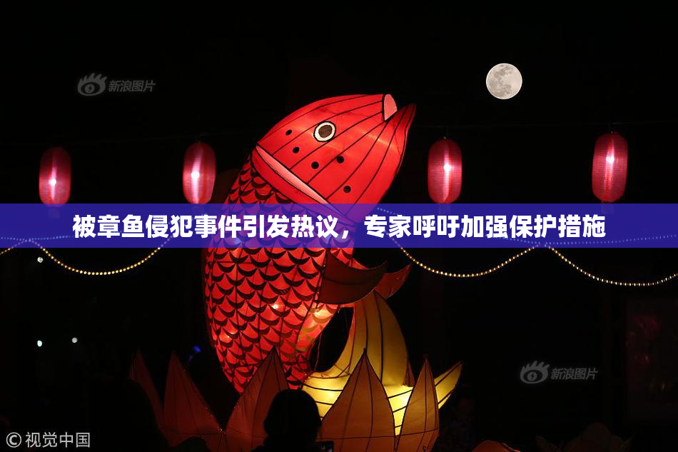 被章鱼侵犯事件引发热议，专家呼吁加强保护措施