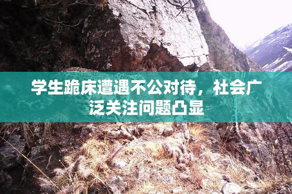学生跪床遭遇不公对待，社会广泛关注问题凸显