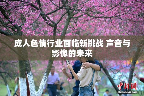 成人色情行业面临新挑战 声音与影像的未来