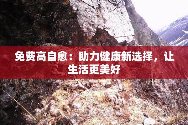 免费高自愈：助力健康新选择，让生活更美好