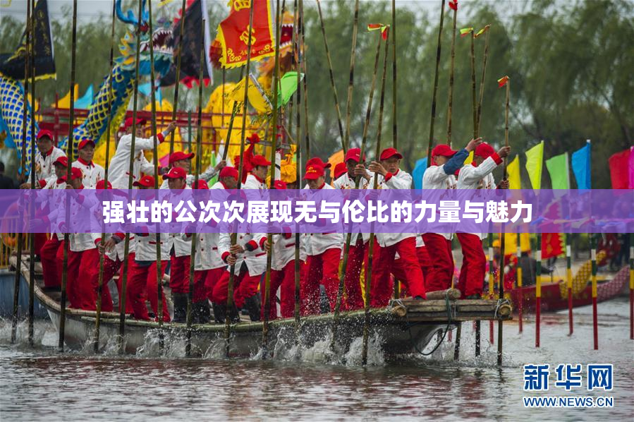强壮的公次次展现无与伦比的力量与魅力