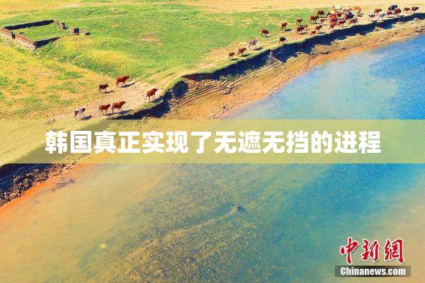 韩国真正实现了无遮无挡的进程