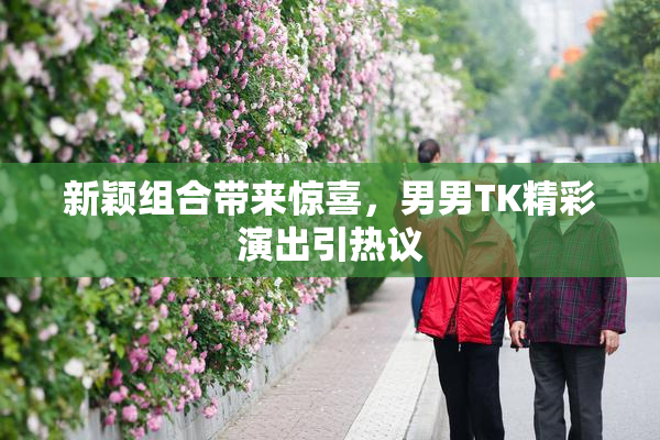 新颖组合带来惊喜，男男TK精彩演出引热议