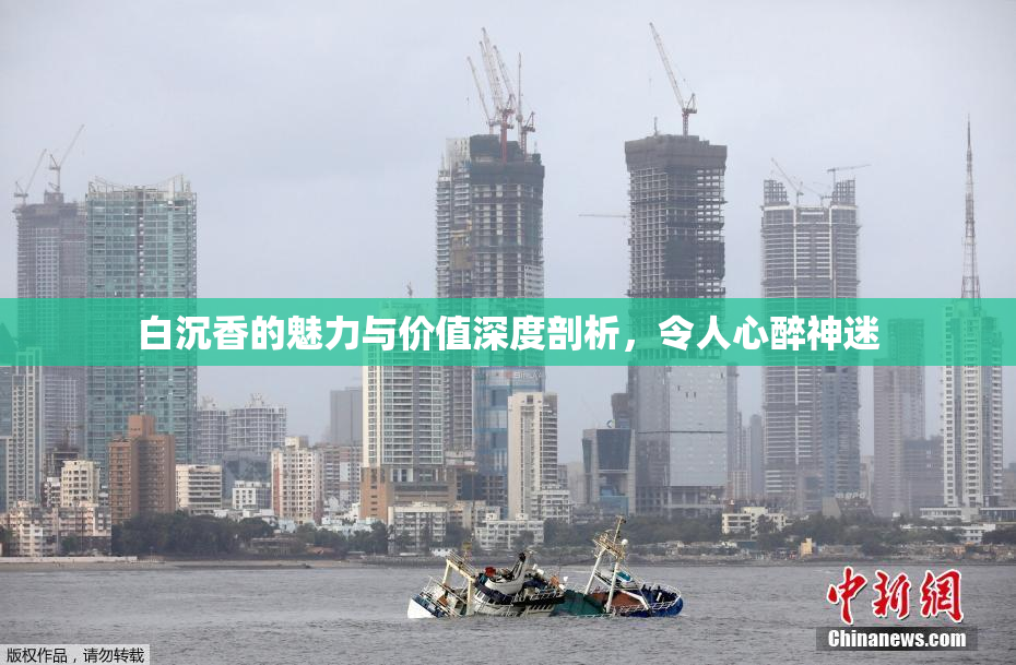 白沉香的魅力与价值深度剖析，令人心醉神迷