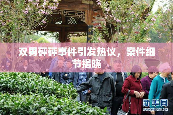 双男砰砰事件引发热议，案件细节揭晓