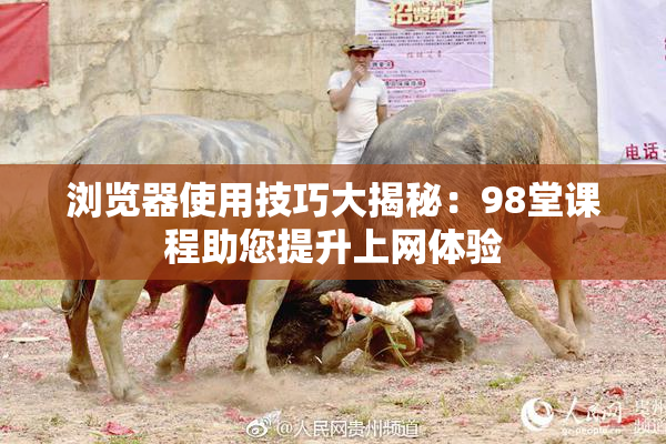 浏览器使用技巧大揭秘：98堂课程助您提升上网体验