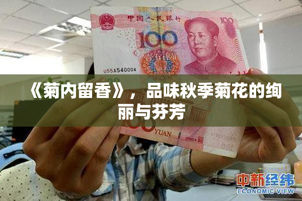 《菊内留香》，品味秋季菊花的绚丽与芬芳