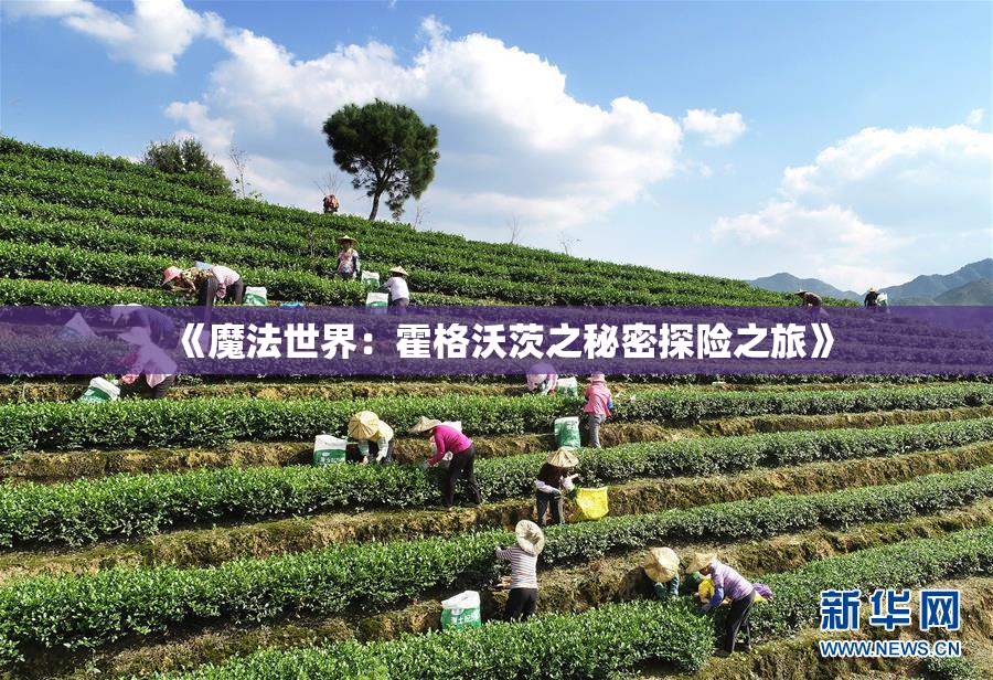《魔法世界：霍格沃茨之秘密探险之旅》