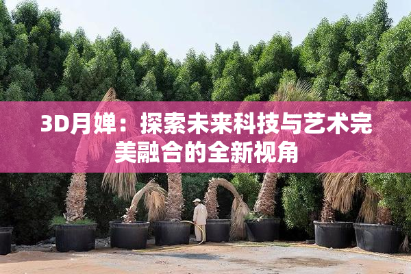 3D月婵：探索未来科技与艺术完美融合的全新视角