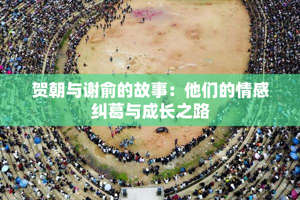 贺朝与谢俞的故事：他们的情感纠葛与成长之路
