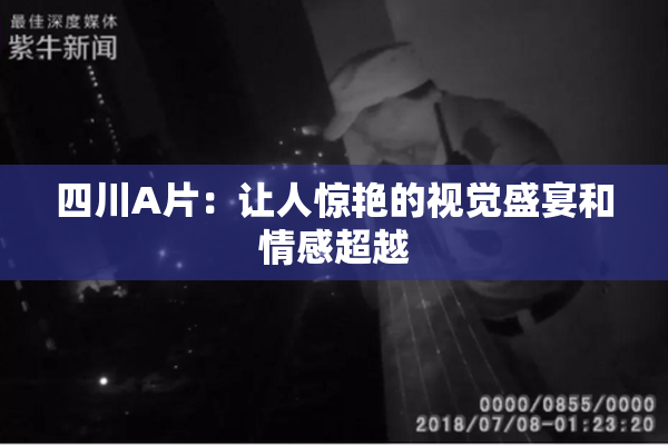 四川A片：让人惊艳的视觉盛宴和情感超越
