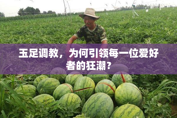 玉足调教，为何引领每一位爱好者的狂潮？