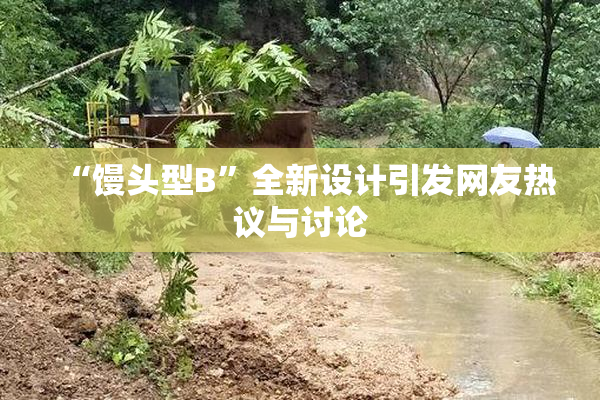 “馒头型B”全新设计引发网友热议与讨论