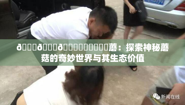 🍆🍑🔞❌‌❌‌❌‌蘑：探索神秘蘑菇的奇妙世界与其生态价值
