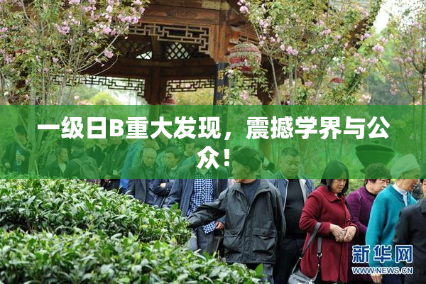 一级日B重大发现，震撼学界与公众！