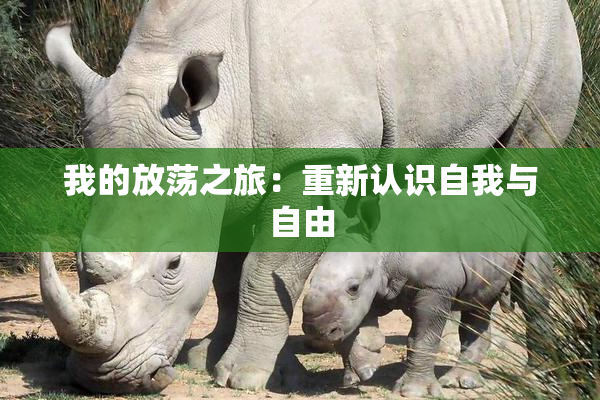 我的放荡之旅：重新认识自我与自由