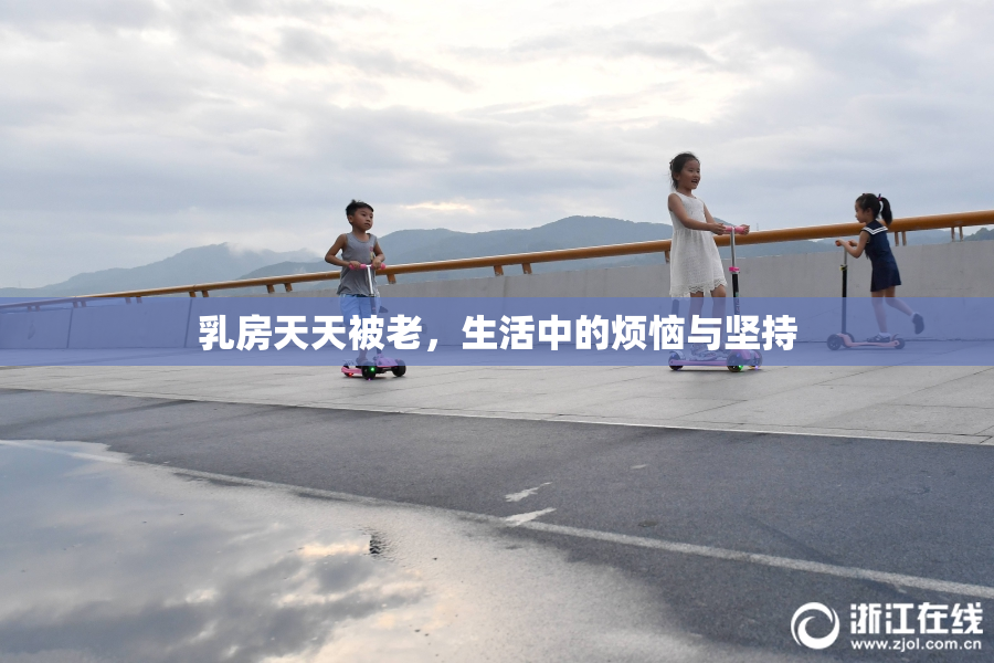 乳房天天被老，生活中的烦恼与坚持