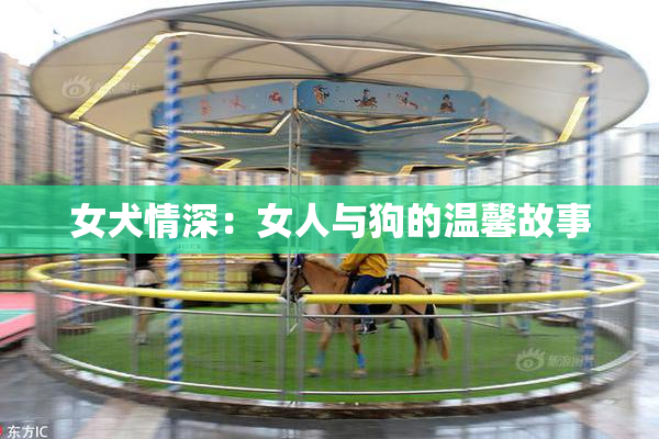 女犬情深：女人与狗的温馨故事