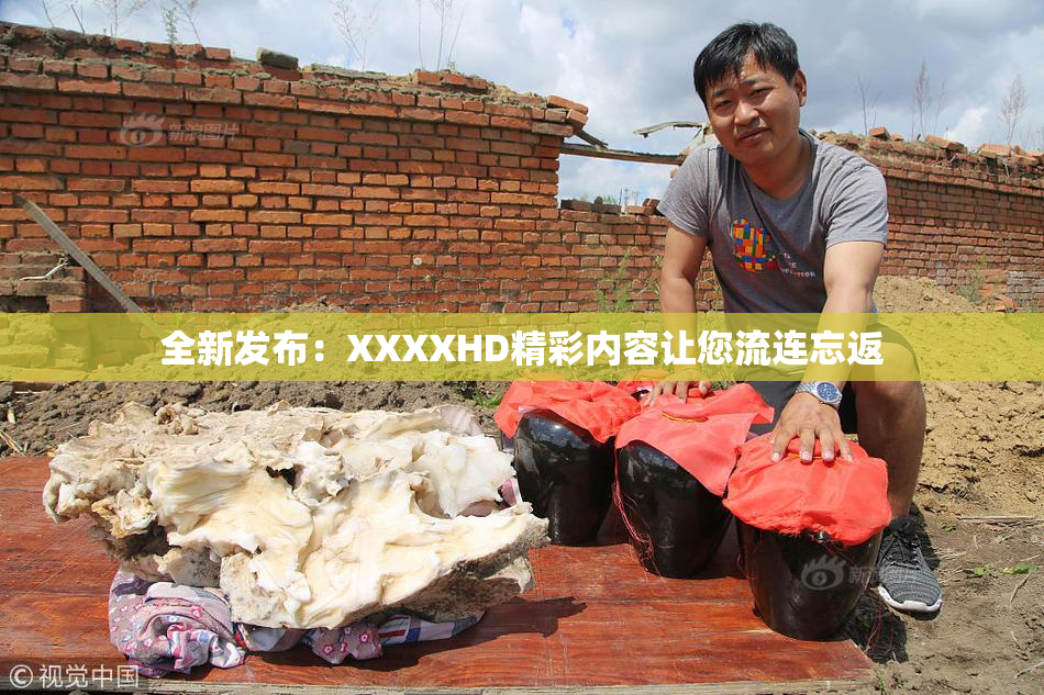 全新发布：XXXXHD精彩内容让您流连忘返