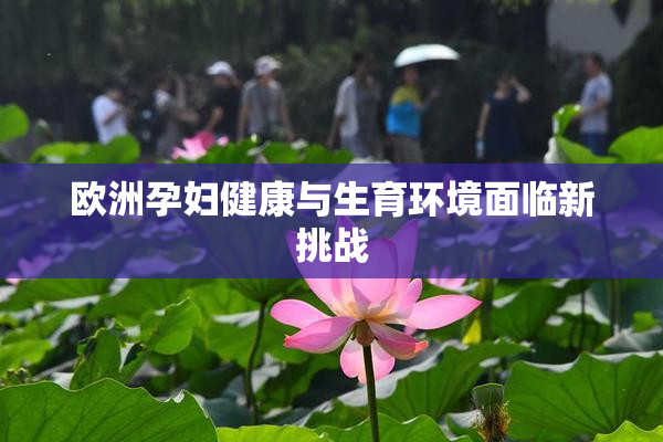 欧洲孕妇健康与生育环境面临新挑战