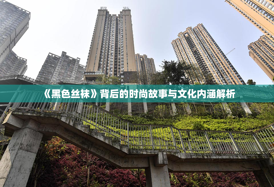 《黑色丝袜》背后的时尚故事与文化内涵解析