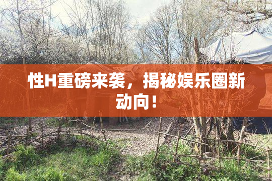 性H重磅来袭，揭秘娱乐圈新动向！