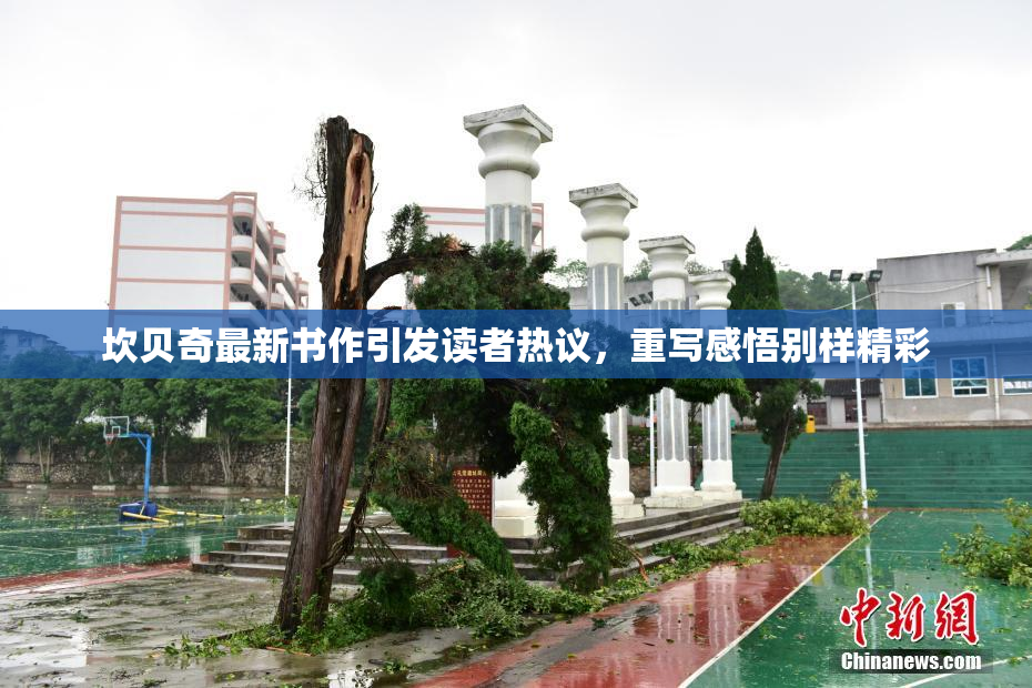 坎贝奇最新书作引发读者热议，重写感悟别样精彩