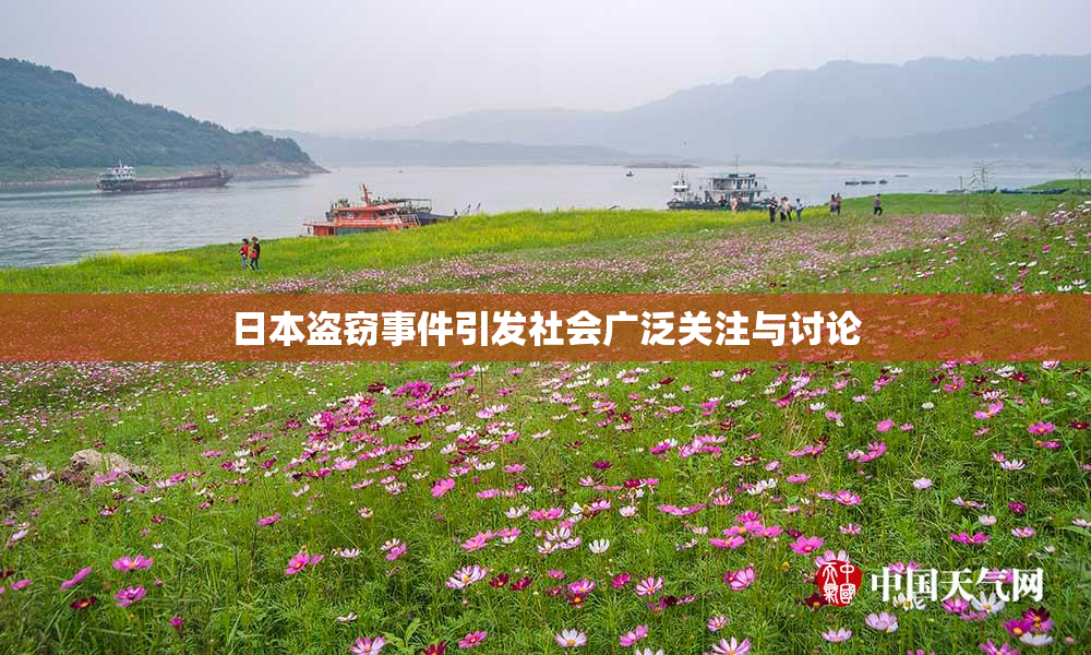 日本盗窃事件引发社会广泛关注与讨论