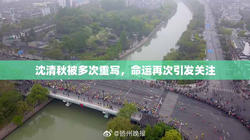 沈清秋被多次重写，命运再次引发关注