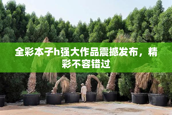 全彩本子h强大作品震撼发布，精彩不容错过