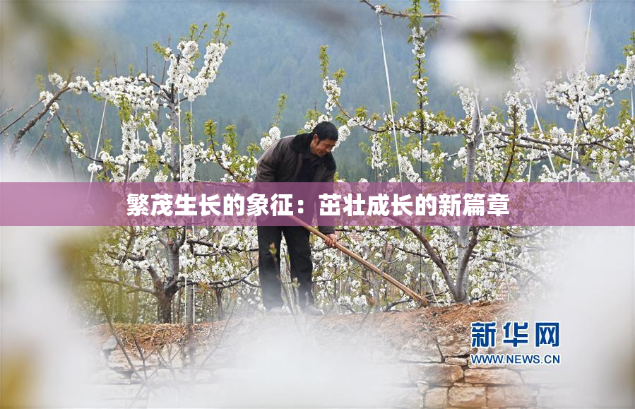 繁茂生长的象征：茁壮成长的新篇章