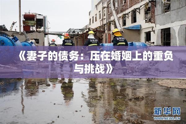 《妻子的债务：压在婚姻上的重负与挑战》