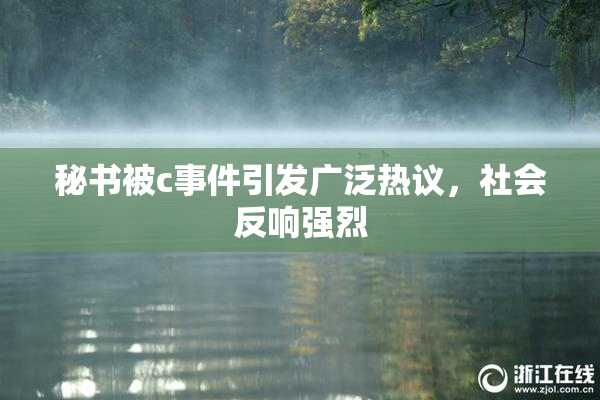 秘书被c事件引发广泛热议，社会反响强烈